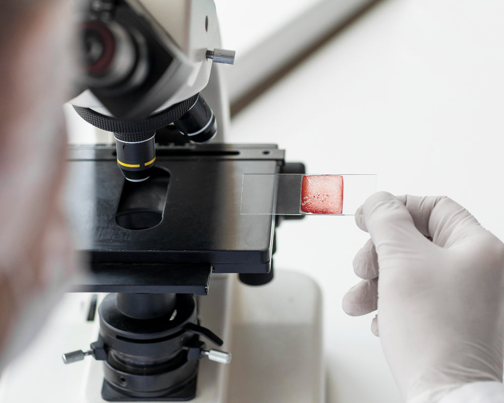 La Hematoxilina: El Alma Azul del Diagnóstico Histopatológico, Desde el Árbol hasta el Microscopio