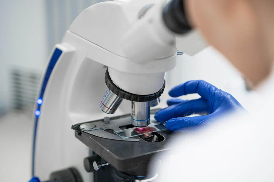 ¿Cuál microscopio comprar? Consejos según tu tipo de análisis