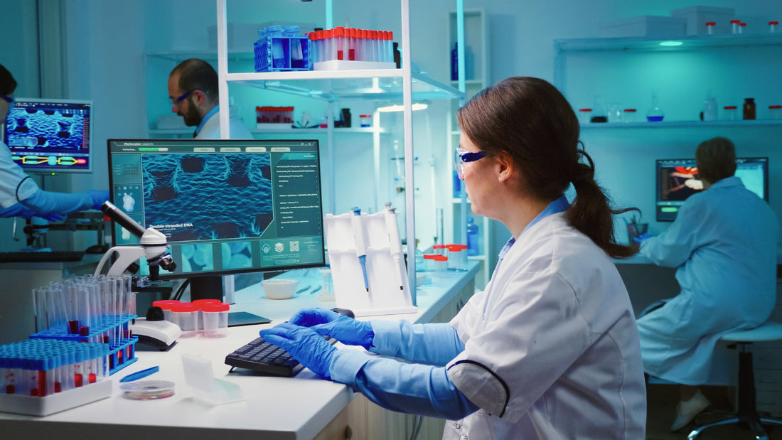 Termohigrómetro: La Herramienta Ideal para tu Laboratorio - Mercalab