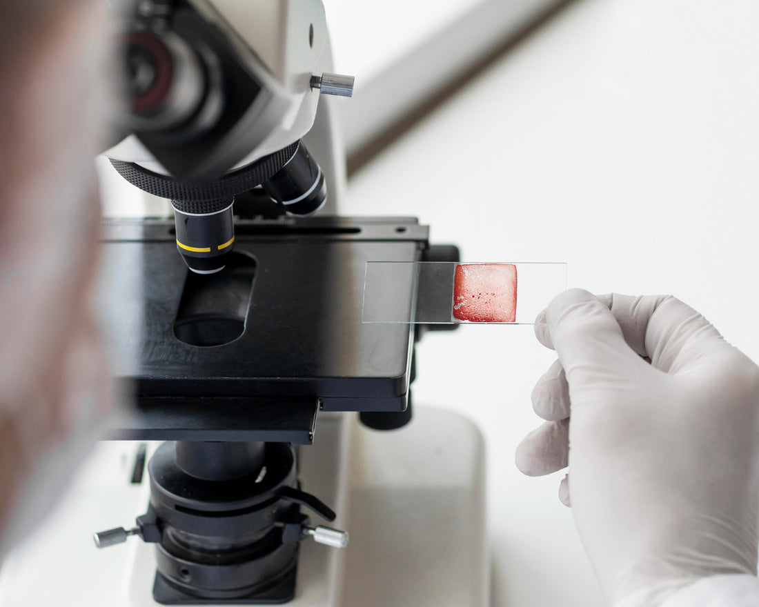 Portaobjetos y Cubreobjetos: La Ventana Invisible al Micromundo de Tu Laboratorio