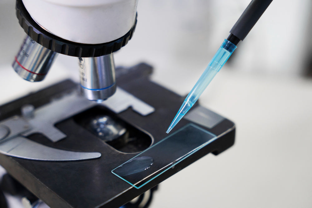 El Microscopio Electrónico de Barrido (SEM): Un Viaje al Nanouniverso