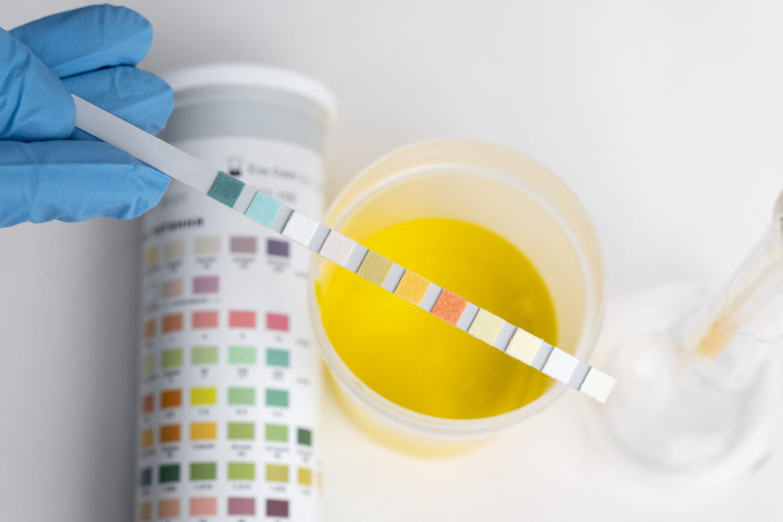 ¿Qué es el pH y cómo se mide? Escala, tipos e importancia clave - Mercalab
