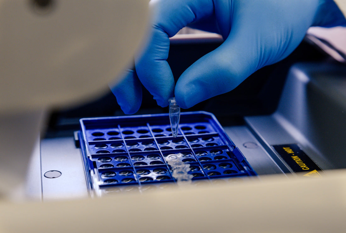 Tubos de Centrifugado: Mucho Más que Plástico para tu Muestra de Laboratorio