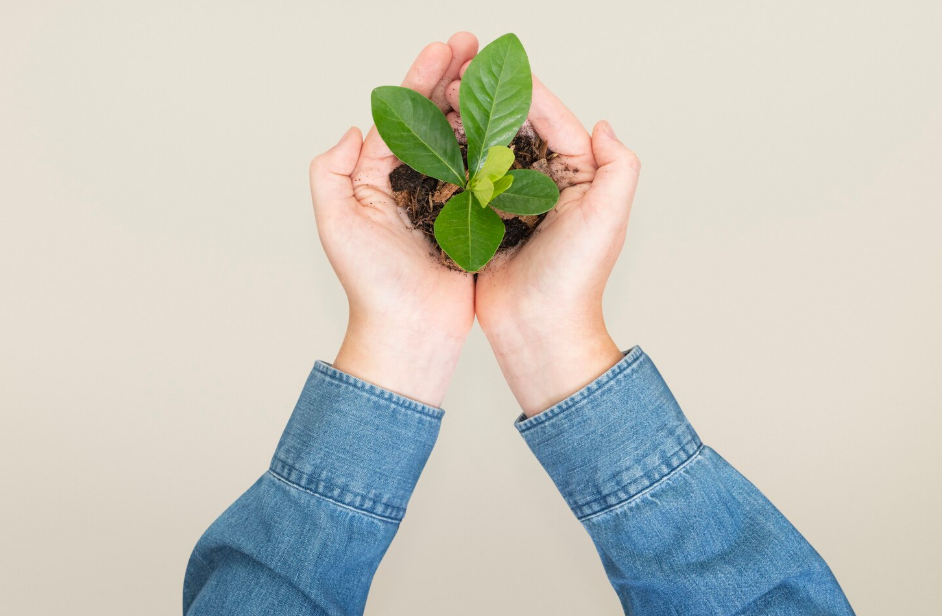 6 Estrategias Ecológicas para el Laboratorio del Futuro: Hacia la Sostenibilidad Total