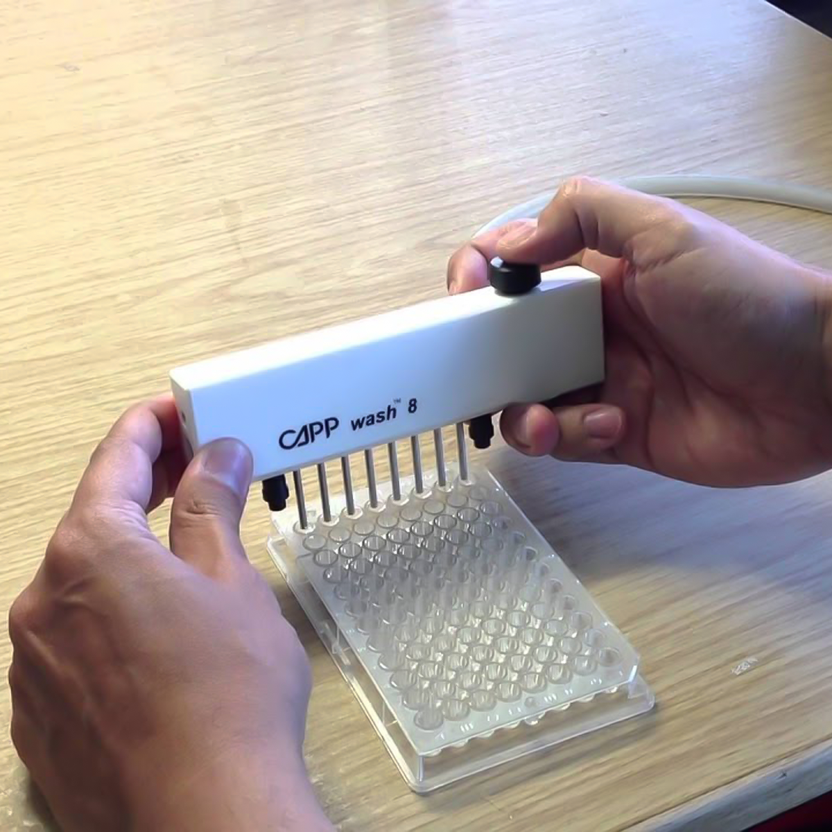 LAVADORA DE MICROPLACAS PARA APLICACIONES ELISA EN KIT CAPPWASH CAPP