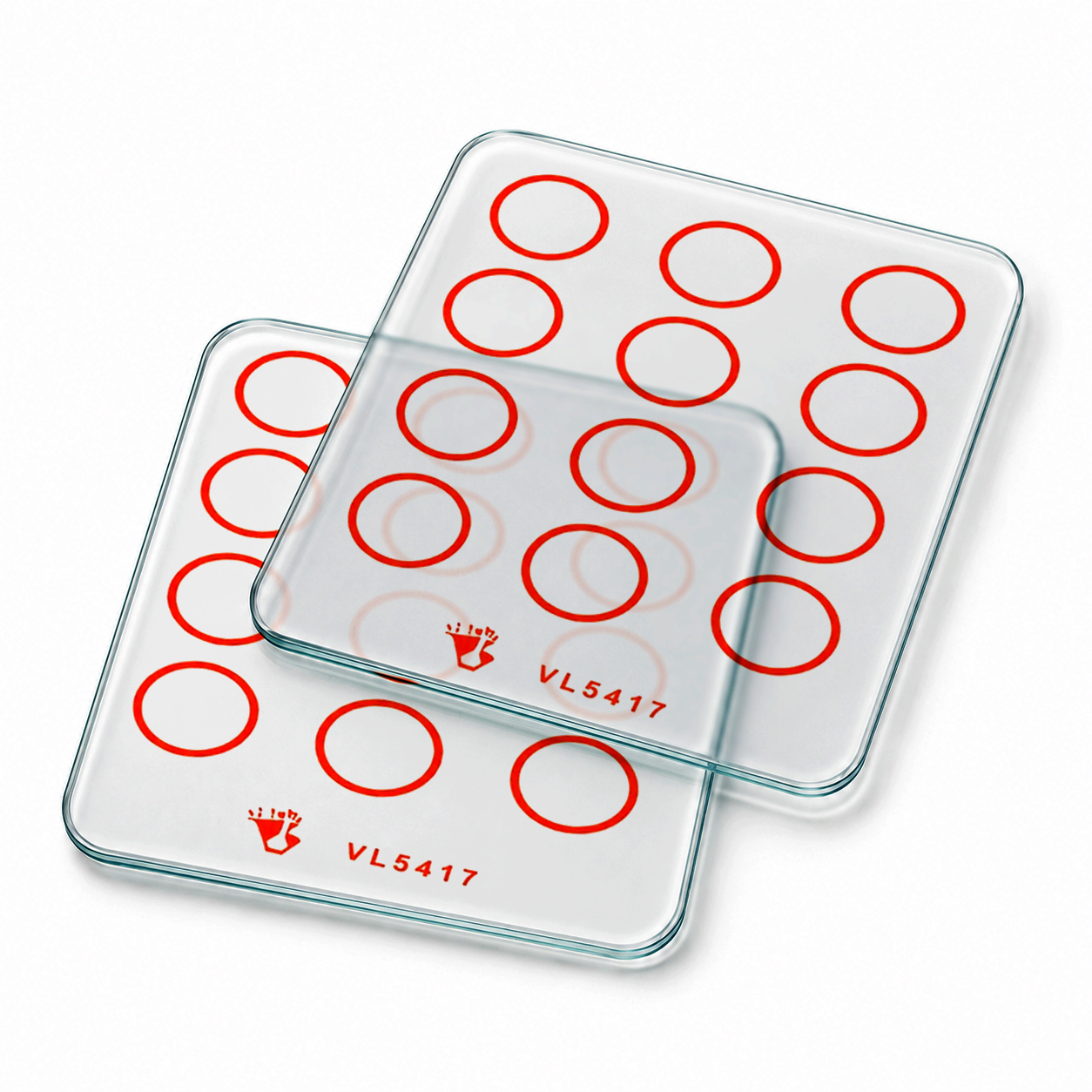 Placa de Vidrio para Reacciones de Aglutinación (con Anillos) - Pack 2 Piezas - VI-LAB