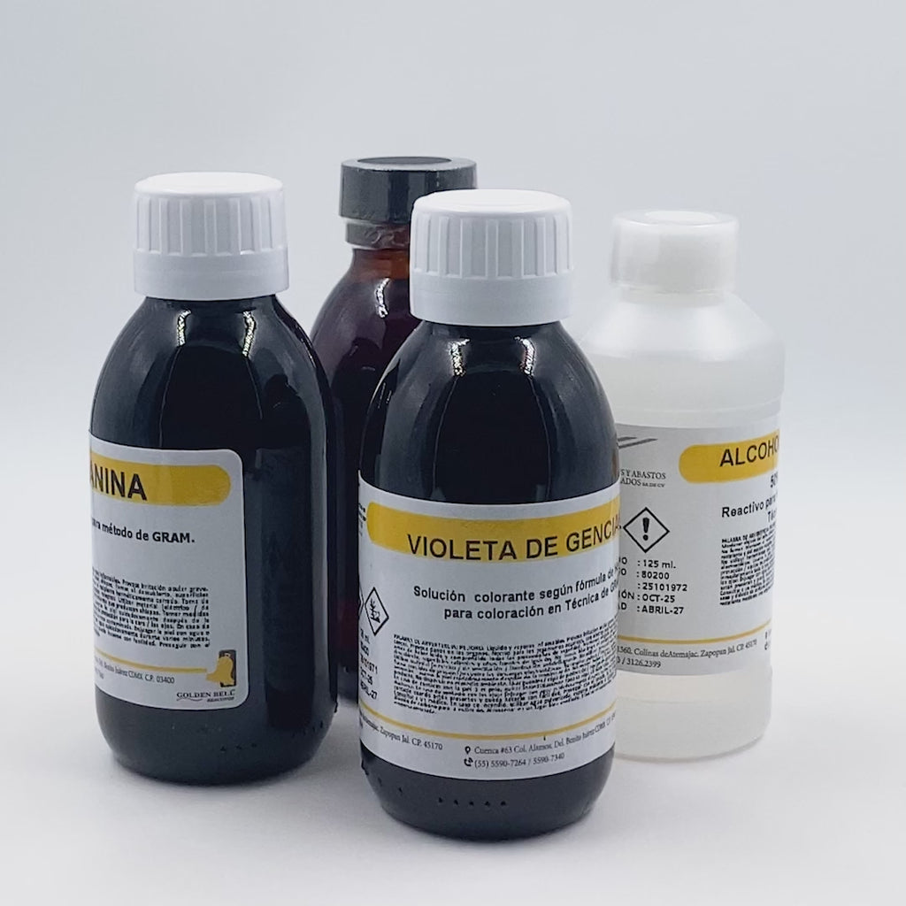 KIT DE COLORANTES PARA TINCIÓN DE GRAM GOLDEN BELL